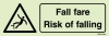 Fall fare | Risk of falling